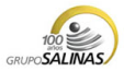 grupo-salinas_logo